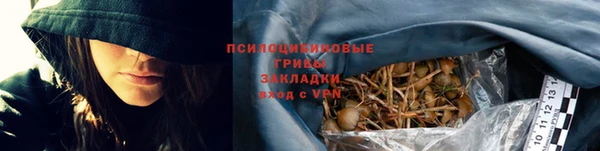 соль ск Богородск