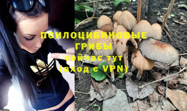 Альфа ПВП Богданович
