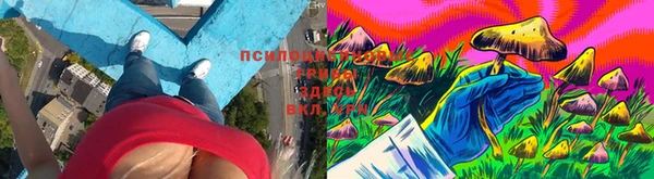 мескалин Богородицк