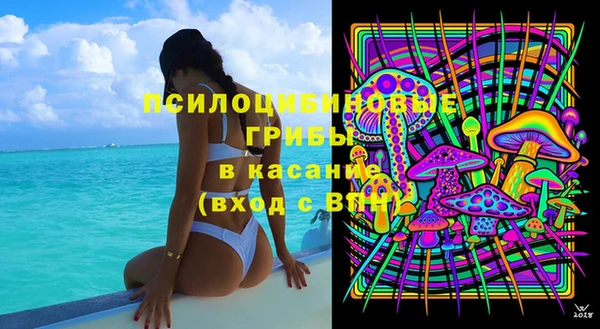 соль ск Богородск